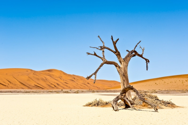 charel-schreuder-photography-landscape-photography-namibia-hiddenvlei-Lone-Tree